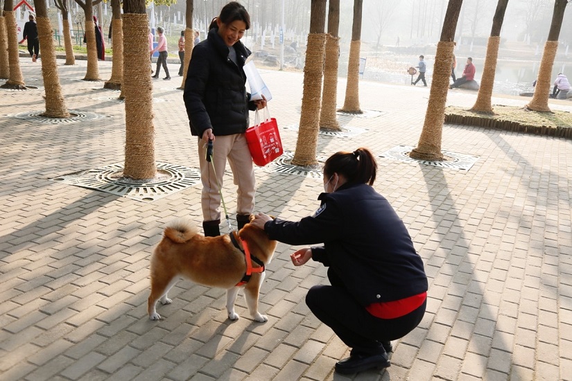 (3)工作人员向群众科普文明养犬.jpg