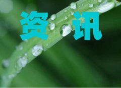 智象未来发布全新自回归图像编辑框架VAREdit
