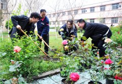 朱仙庄矿团员青年们春日植绿扮靓矿山